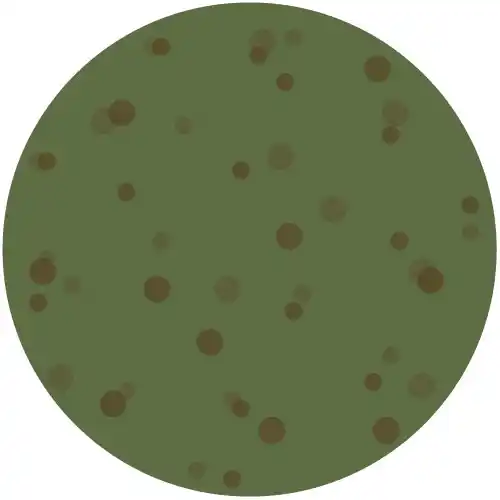 Cosmic Green Swatch