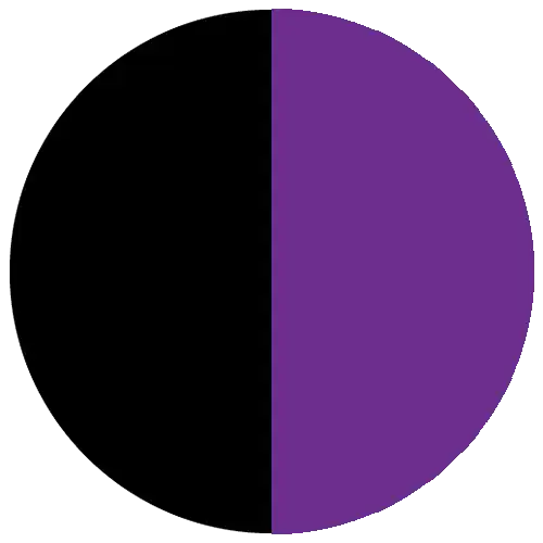 Black with Purple Swatch