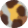 Monarch Tortoise - Smoke Lenses