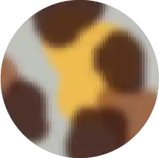 Monarch Tortoise Swatch