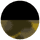 Black + Blonde Tort