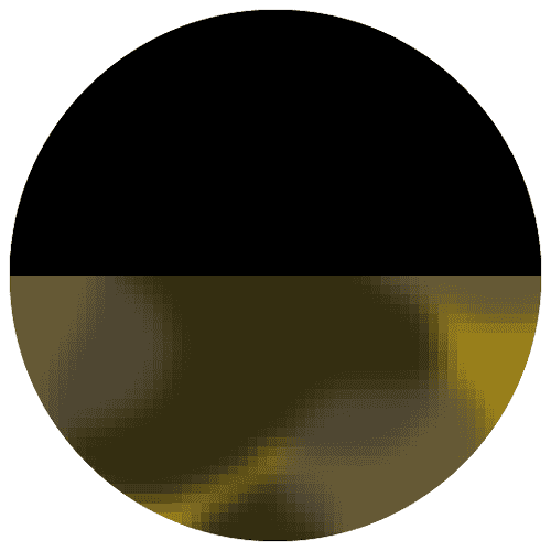 Black + Blonde Tort