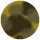 Blonde Tortoise - Brown Lens