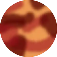 Sangria Tortoise Swatch