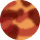 Sangria Tortoise - G15 Lens