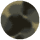 Pearl Noir Tortoise - Smoke Gradient Lens