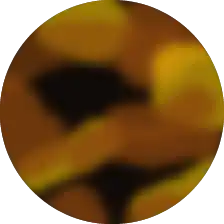 Bourbon Tortoise Swatch