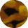 Bourbon Tortoise - G15 Lens