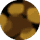 Redwood Tortoise - Smoke Gradient Lens