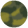 Gator Tortoise - Smoke Lens