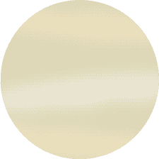 Ivory Horn Swatch
