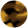 Tobacco Tortoise - Brown Lens